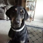 Nancy Reece - @nancy.reece.710 - Instagram