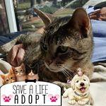 Nancy Reeves - @nancyreeves8 - Instagram