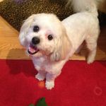 Nancy Reeves - @nancyreeves9 - Instagram