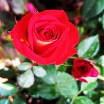 Nancy Reis - @nancyfajuletor - Instagram