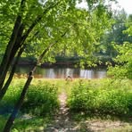Nancy P. Rémillard - Facebook