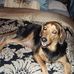 Nancy Renda - Facebook