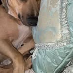 Nancy Renda - @palmbeachlady1 - Instagram
