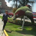 nancy requena charapaqui - @nancyrequenachatapaqui - Instagram