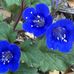 Nancy Lown Restivo - Facebook