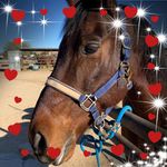 Nancy E. Rhea - @nancyrhea10 - Instagram