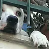 Nancy Ricci - @nancy.ricci6 - TikTok