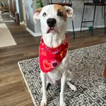 Nancy Richert - @nancyricherthc - Instagram