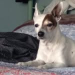 Nancy Richey-connor - @_horse42 - Instagram