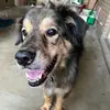 Nancy Rickman - @nancy.rickman4 - TikTok
