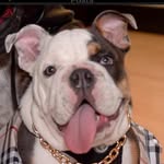 Nancy-Ajstuntz ,Rick’s and Monica’s mama - @my66drop - Instagram