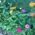 Nancy Ridder - Facebook