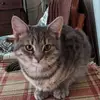 Nancy Rideout - @nancy.rideout3 - TikTok