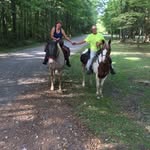Nanci Riehl - @nanciriehl - Instagram