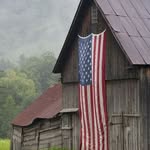 Nancy Riggins - @nancy.riggins - Instagram