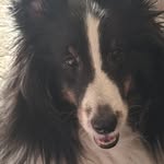 Nancy Barber Riggleman - @nancy.riggleman - Instagram
