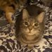 Nancy Righetti - Facebook