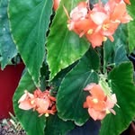 Nancy Graciela Rinaudo - @nancygracielarinaudo - Instagram