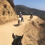 Nancy Rinehart - @nancyrinehart.m - Instagram
