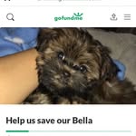 Nancy Rinella - @rinellanancy - Instagram