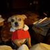 Nancy Ringer - Facebook