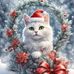 Nancy Ringer - Facebook