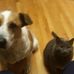 Nancy Ringer - Facebook