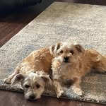 Nancy Ringer - @nancy.ringer.50 - Instagram