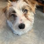 Nancy Ringer - @nancy.ringer.77 - Instagram