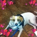 Nancy Ringer - @ringer737 - Instagram