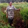 NancyRingera - @nancyringera - TikTok