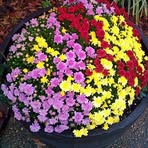 Nancy Beckman Riordan - Facebook