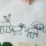Nancy Riordan - @nancypriordan - Instagram