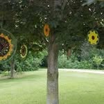 Nancy Ripp - @rippnancy - Instagram