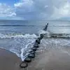 Nancy Ripp - @nancy.ripp - TikTok