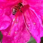 Nancy Tripp - Unique Photo Gifts - @nancy_tripp_photo_gifts_ - Instagram