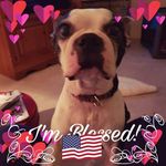 Nancy Risner - @nancy.risner.754 - Instagram