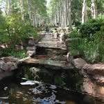 Nancy Pickett Rister - @nancyrister - Instagram