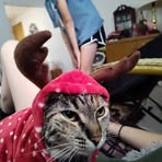 Nancy Rittenhouse - Facebook