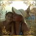 Nancy Rizzi - Facebook