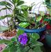 Nancy Rizzuto - Facebook