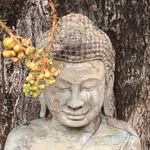 Nancy Luijten - @nancyrobtravels - Instagram