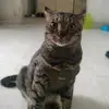 Nancy Robayo - @nancyrobayo - TikTok