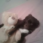 nancy yaneth gomez robayo - @nancita_gomez25 - Instagram