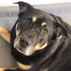 Nancy Robbin LaBonte - @nancy.robbin.labo - TikTok