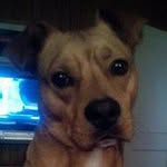 Nancy Robbins - @nancyrobbins359 - Instagram