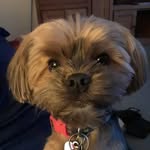 Nancy Siegel - @nancyrobbin70 - Instagram