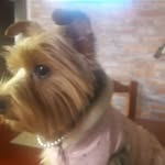 Nancy Rocca - @nancystellamarisrocca - Instagram