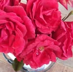 Nancy Rocca Quillca - Facebook