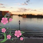 Nancy Barbeau-Roccaforte - Facebook